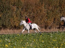IMG_9807web
